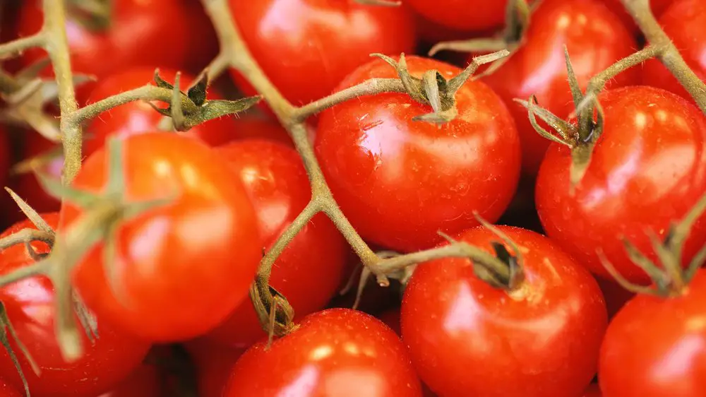 fleisch tomaten