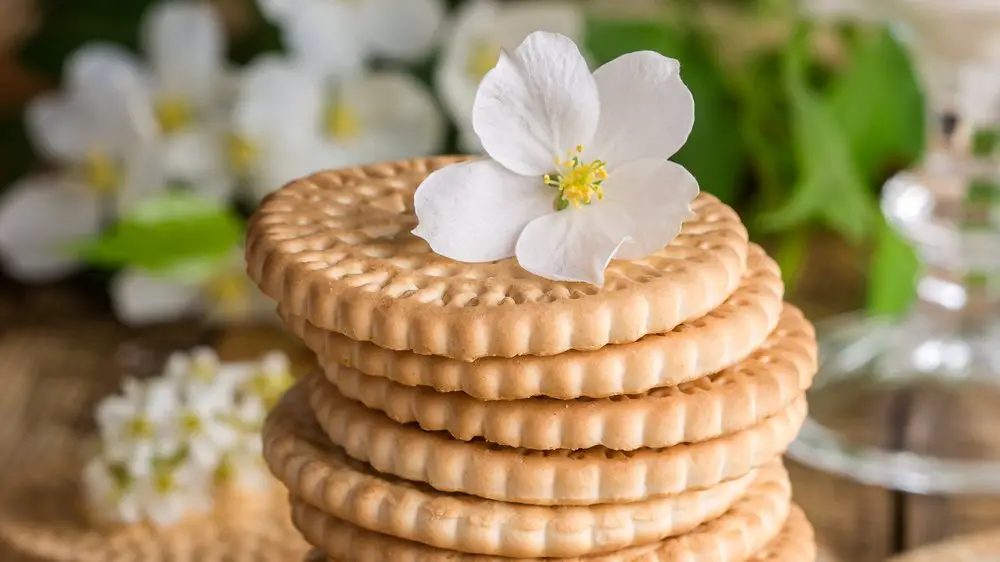 hauptgerichte mit fleisch für gäste